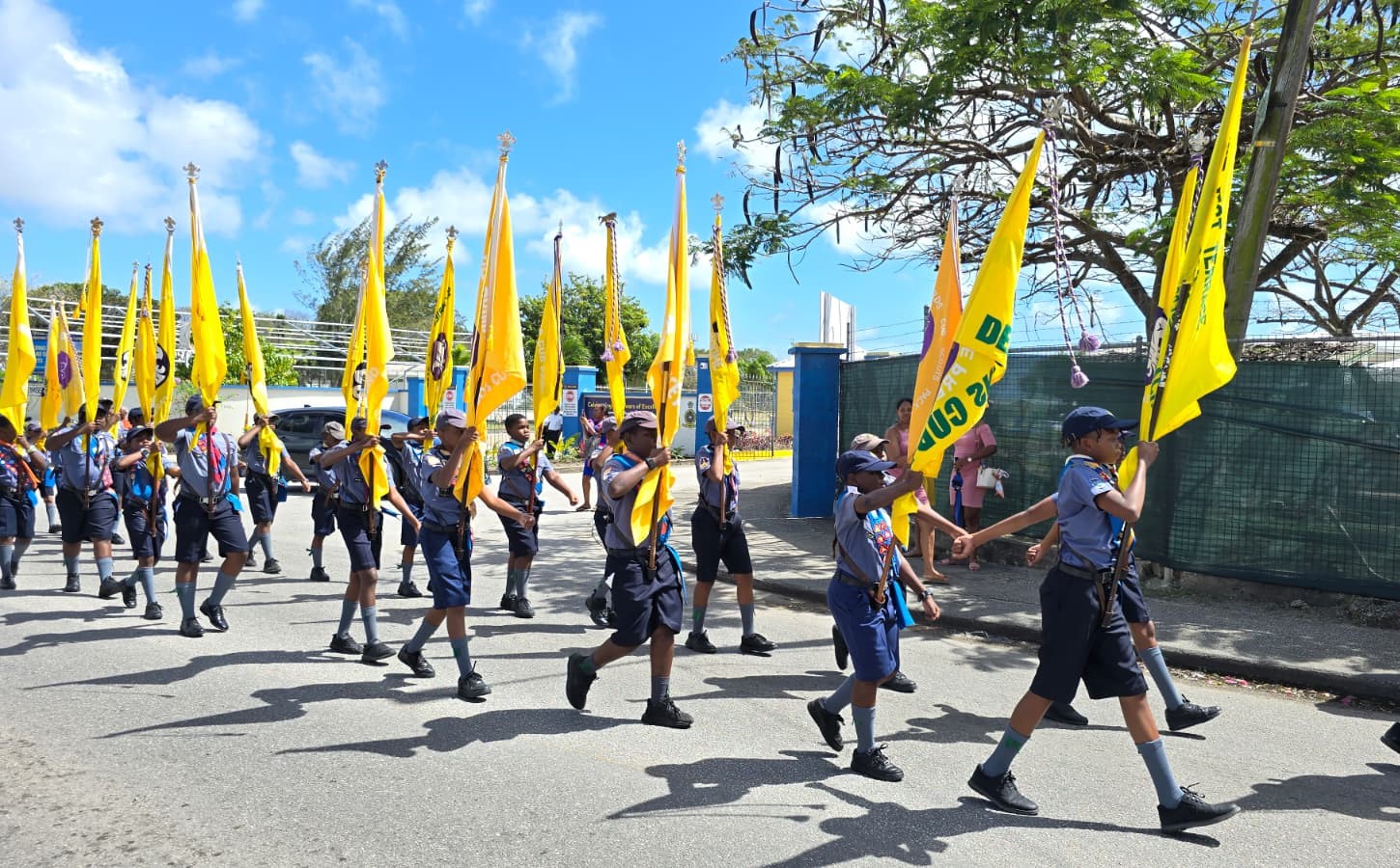 Boy Scouts Association calls for volunteers to expand
