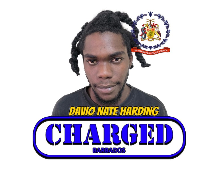 Harding charged with gun, serious bodily harm