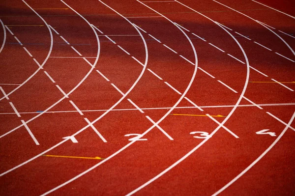 Griffith, Niles Advance in Commonwealth 100m