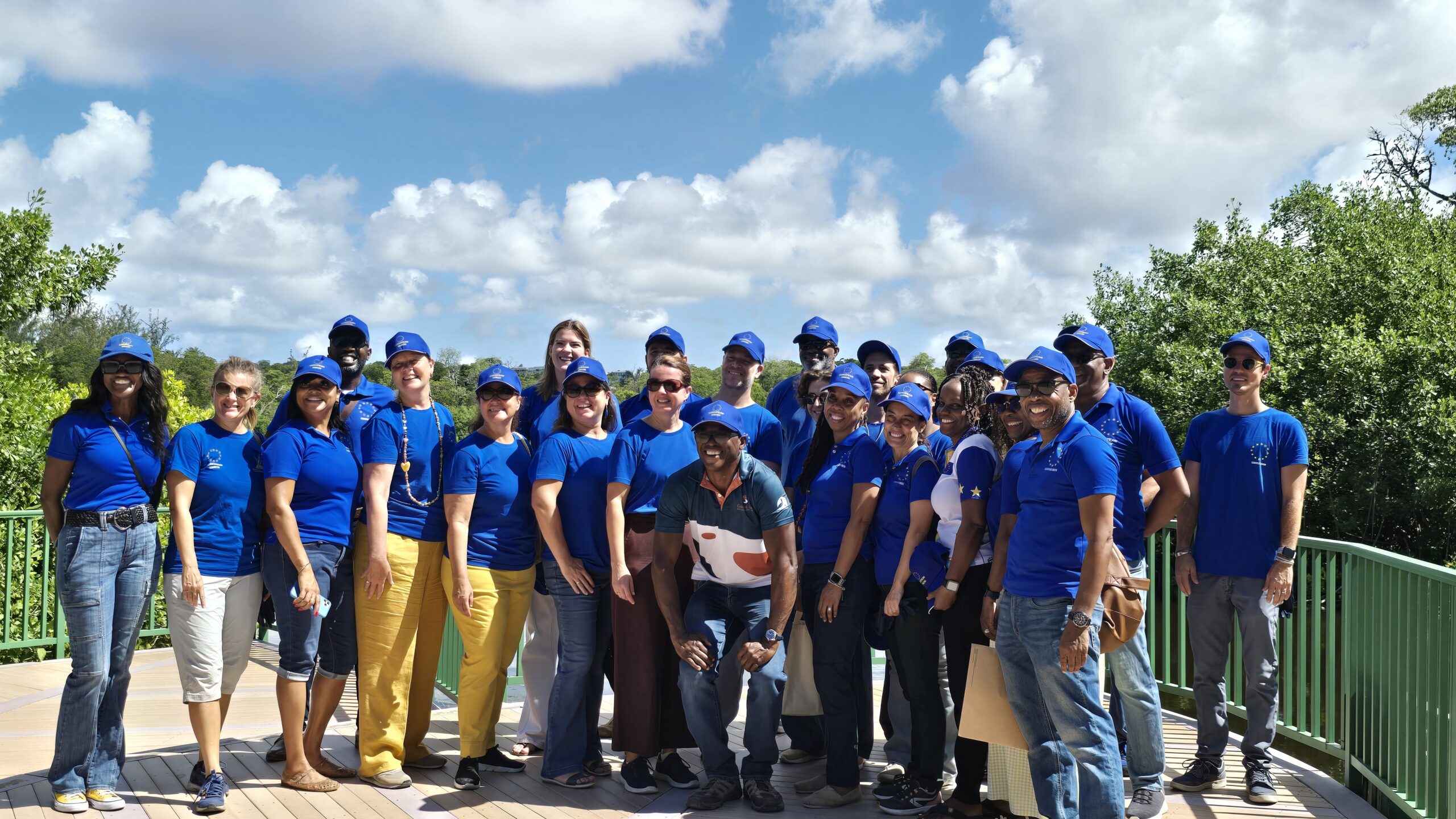 Tree planting push for climate future