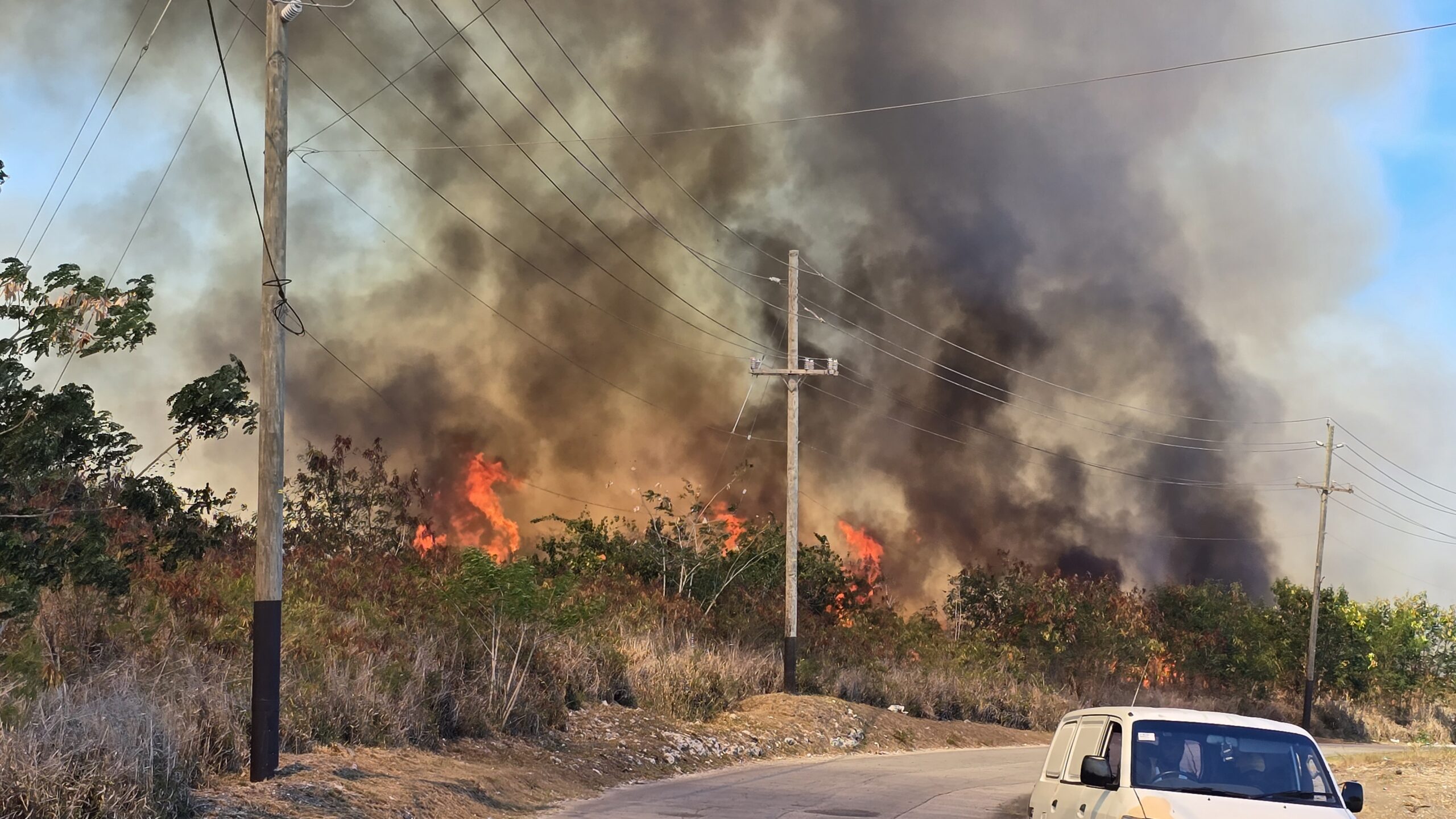 Firefighters stretched as six bushfires rage islandwide