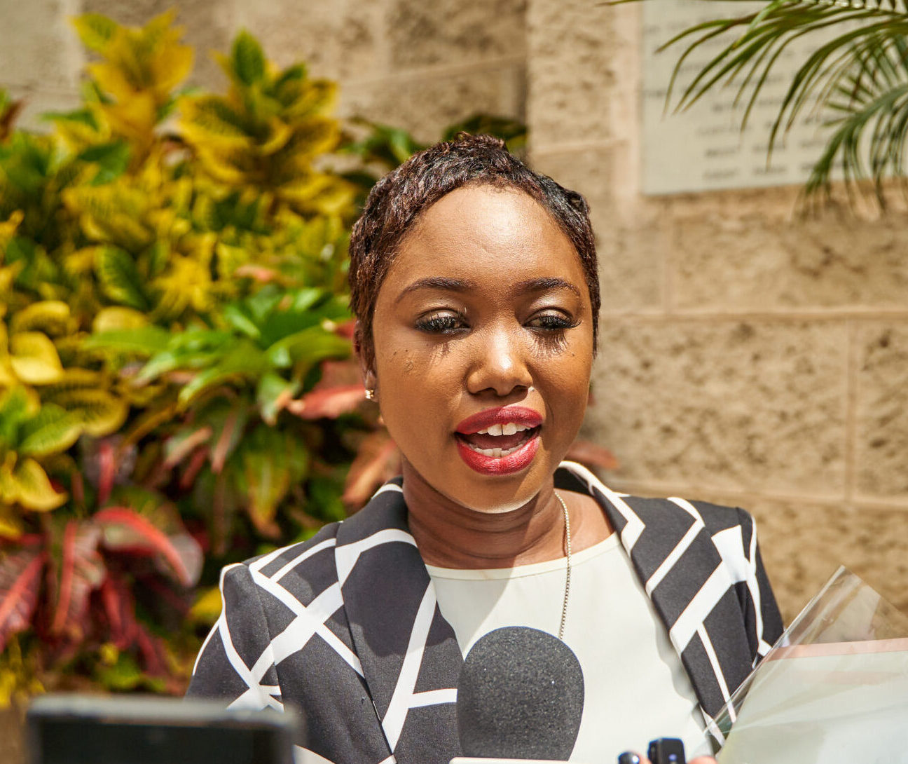 Senator Goodridge Urges Action on Crime and Cost of Living in Barbados