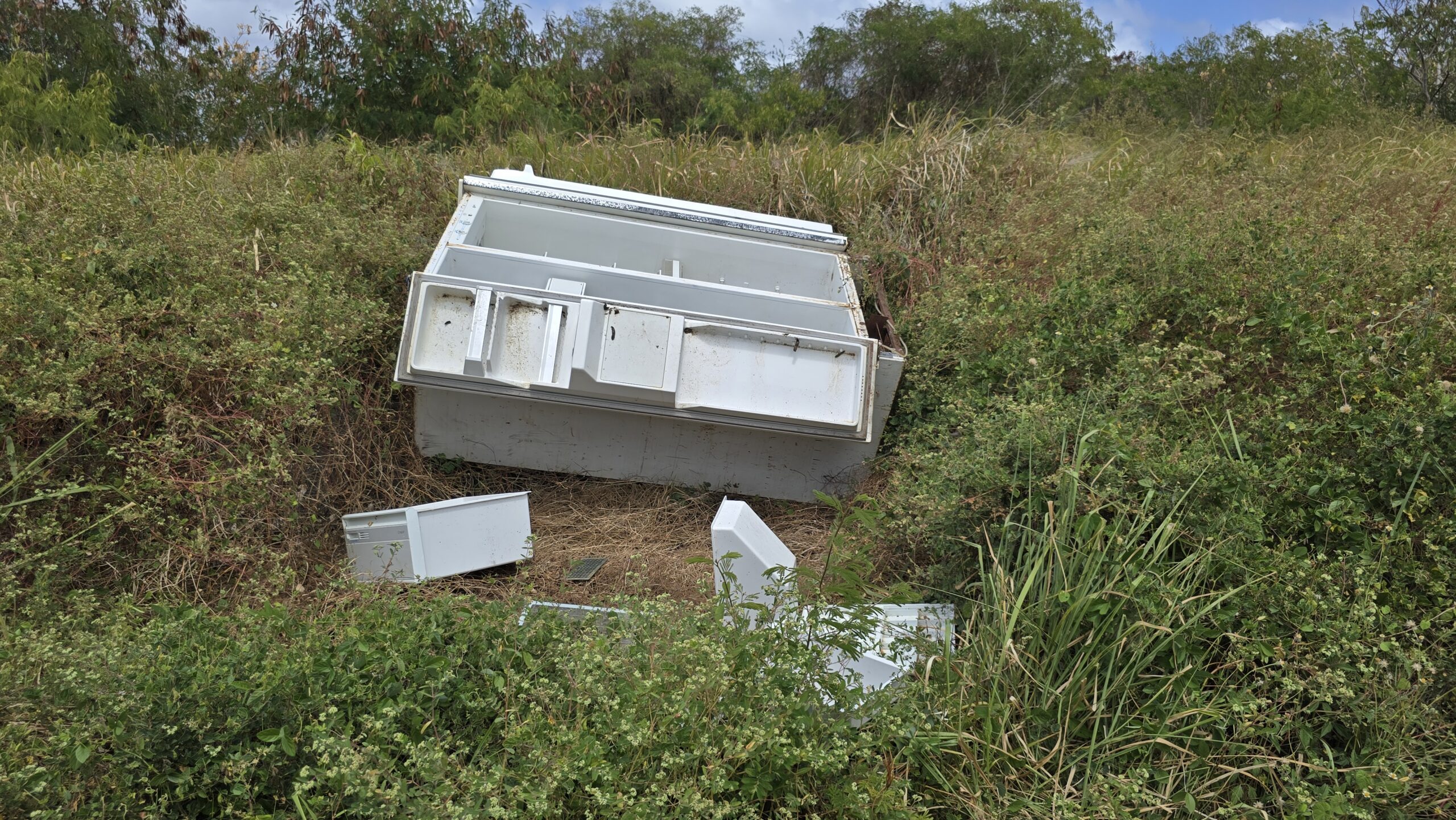 Folks cry foul over hazardous dumping of dead animals, waste  