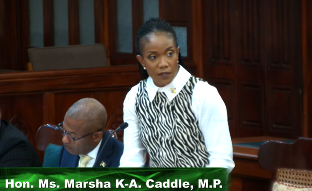 Caddle advocates for a worker-focused benefits system