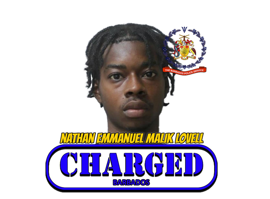Man remanded on theft, traffic charges