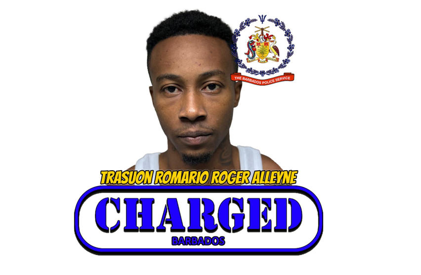 Man remanded on firearm, ammunition charges