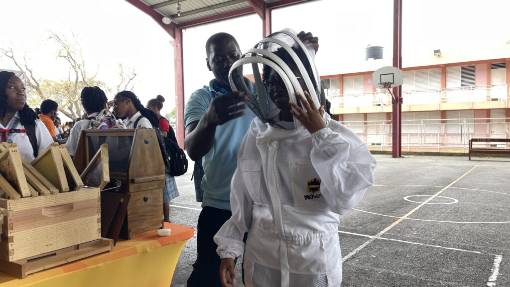 Beekeeping biz a-buzz as honey imports dominate
