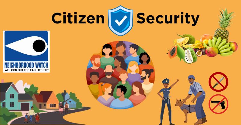 Citizen security council to be reconstituted amid rising crime