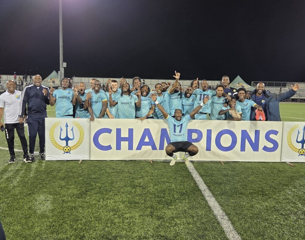 Paradise fight back to beat Wales in Champions Cup final
