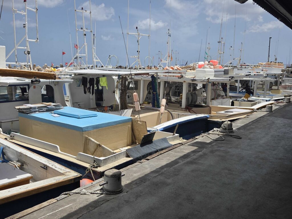 Fishers face rising fuel costs as region explores fleet decarbonisation