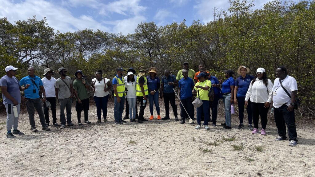 Illegal dump exposed at Chancery Lane wetlands