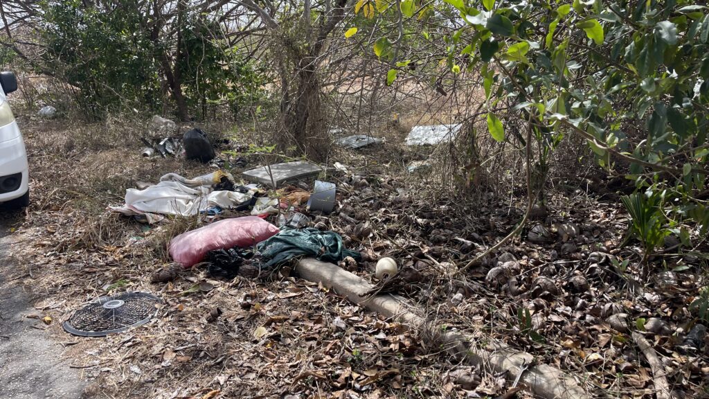 Illegal dumping persists despite awareness campaigns, environmentalists say
