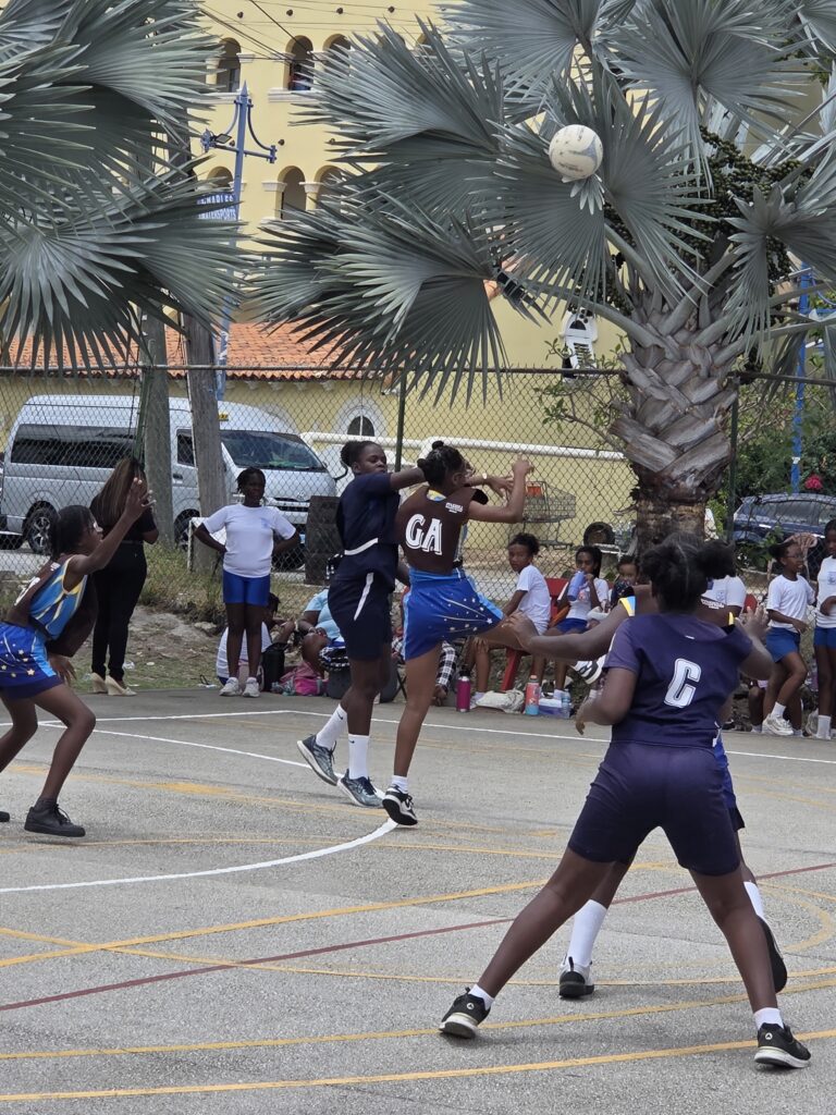 Shirley Chisholm Primary blank St Gabriel’s 7-0  NSC netball