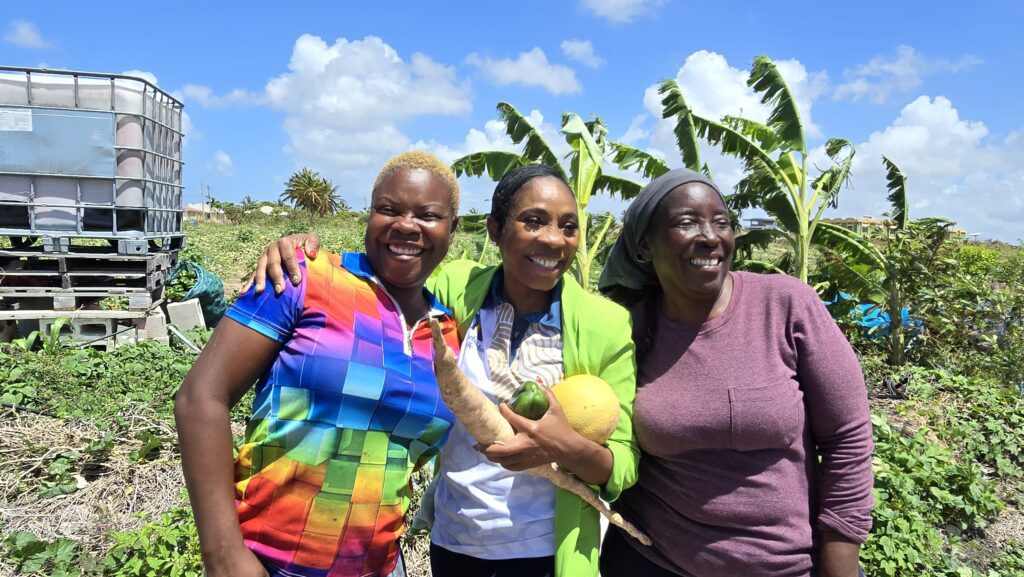 Major farm support plan targets water, pests, crop theft