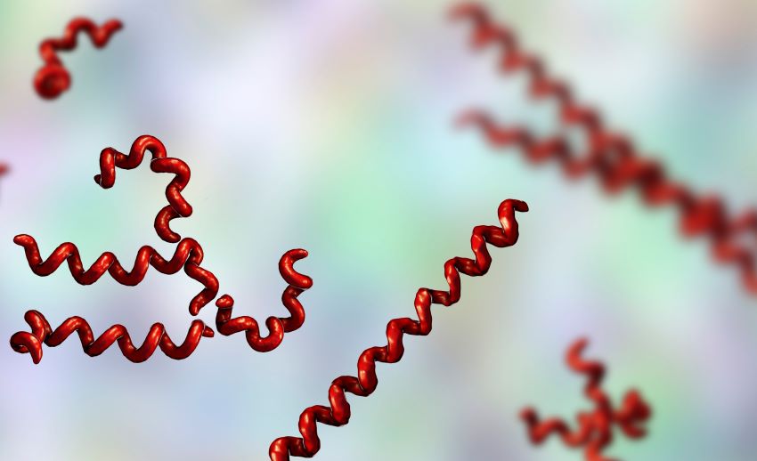 Syphilis cases increasing