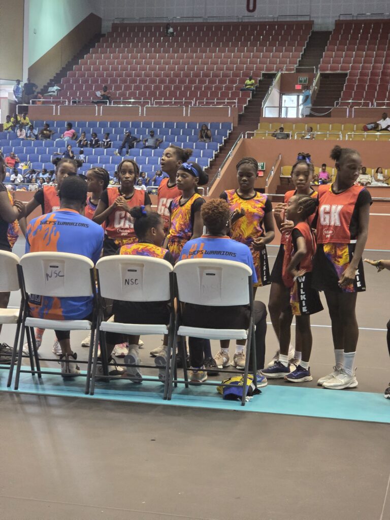 Organisers happy with execution of NSC Netball Competition