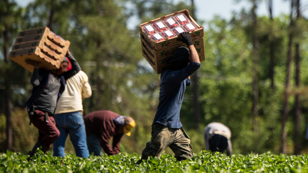 Editorials and opinion pieces highlight risks of modern-day slavery in migrant labour markets