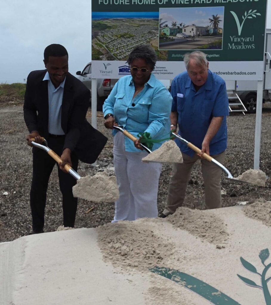 Sod turns on Vineyard Meadows in mill’s shadow