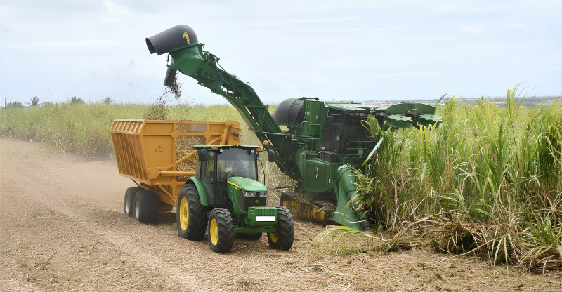 Ten jobs to go at BESCO after harvest as cost pressures mount