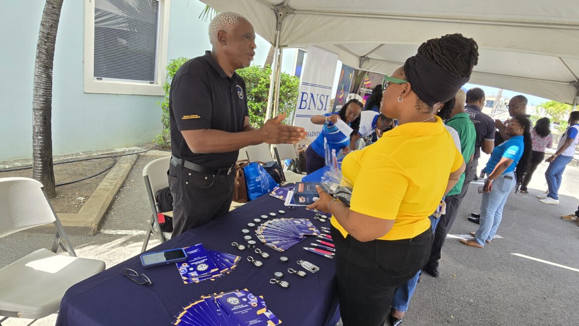 Teams from the Ministry of Energy, BNSI and Mission Barbados