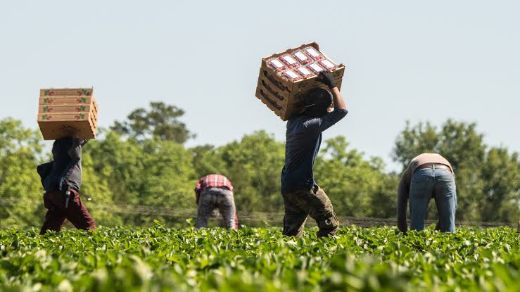 EDITORIAL: Modern-day slavery in migrant labour markets