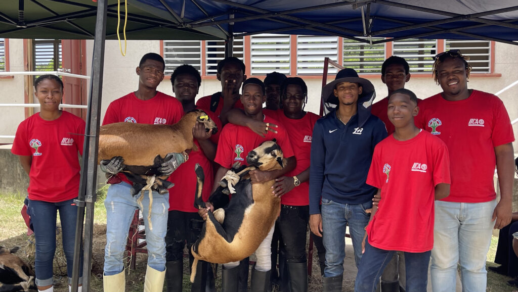 Youth farmers showcase poultry, livestock skills