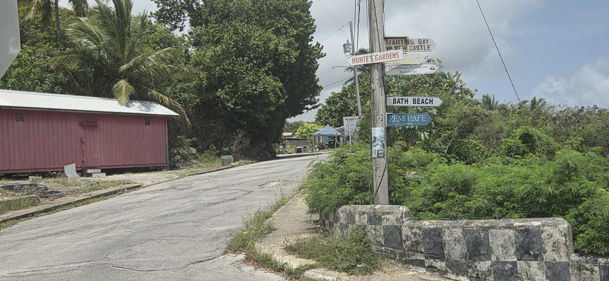 Police destroy nearly 6 000 cannabis plants in St John operation