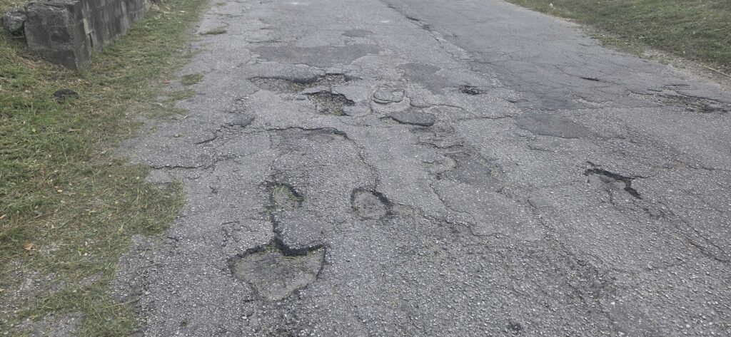 Potholes complaints, bus tracking top Pearly app usage – developer