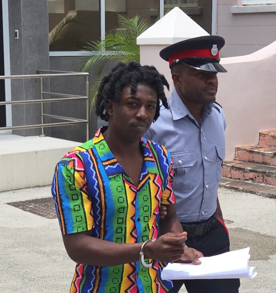 Teen remanded after admitting robbery, theft
