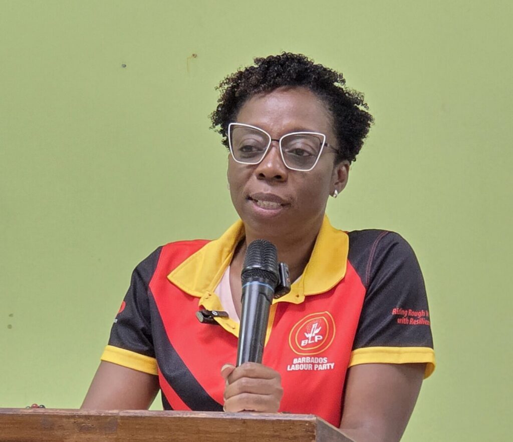 Moore concerned over unfinished Charles Rowe Bridge works