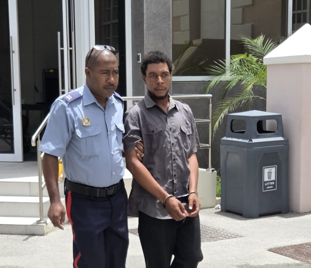 Man remanded after admitting to theft