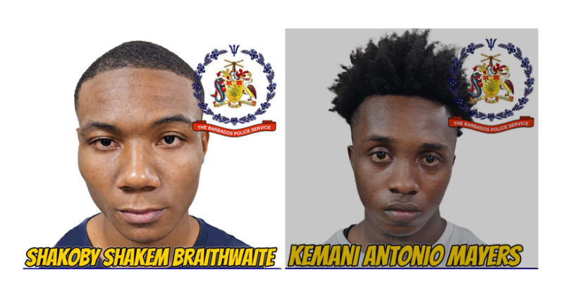 Duo charged with robbery, one faces firearm charges