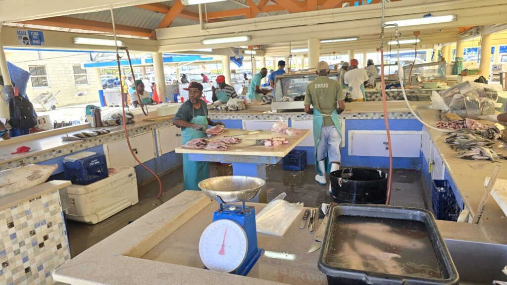 ‘Fish cheap’: Fisherfolk urge Barbadians to buy
