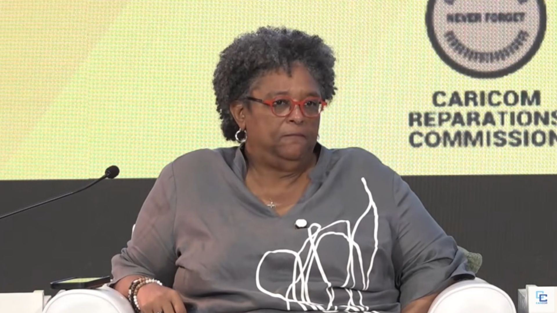 âWe have no desire to bankrupt anybody, but we have a desire for justiceâ: Reparations movement pushes towards action
