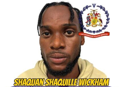 St Michael resident pleads not guilty to eight charges