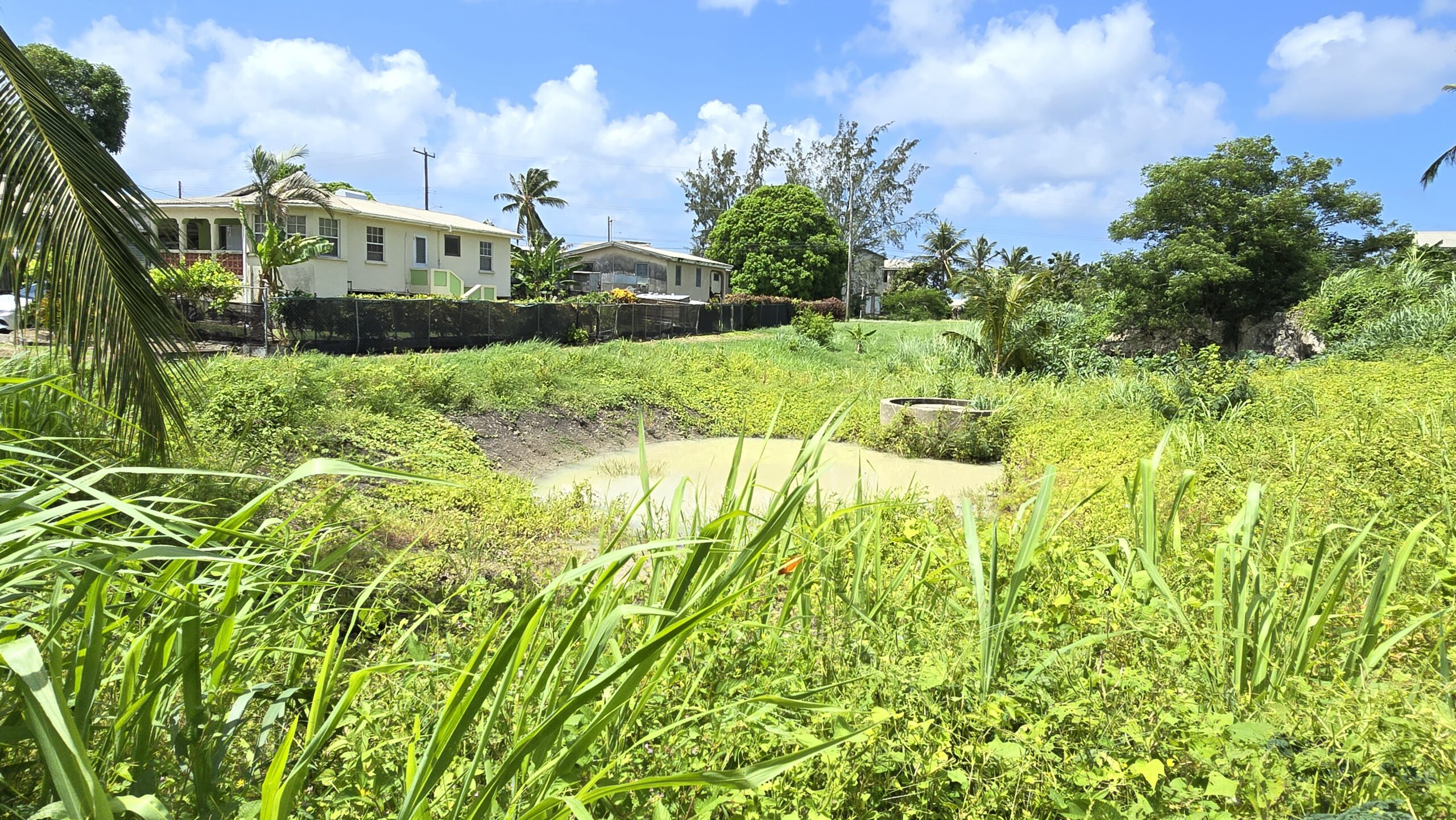Drainage officials looking into Husbands Gardens âpoolâ â MP