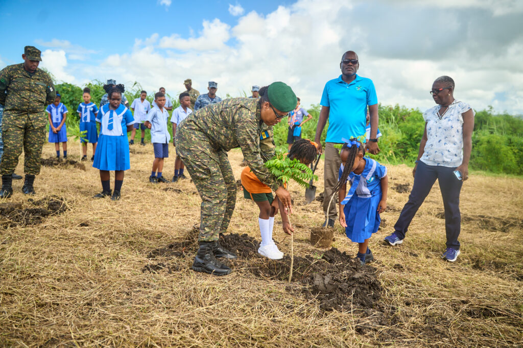Blackman and Gollop pupils in national tree-planting drive