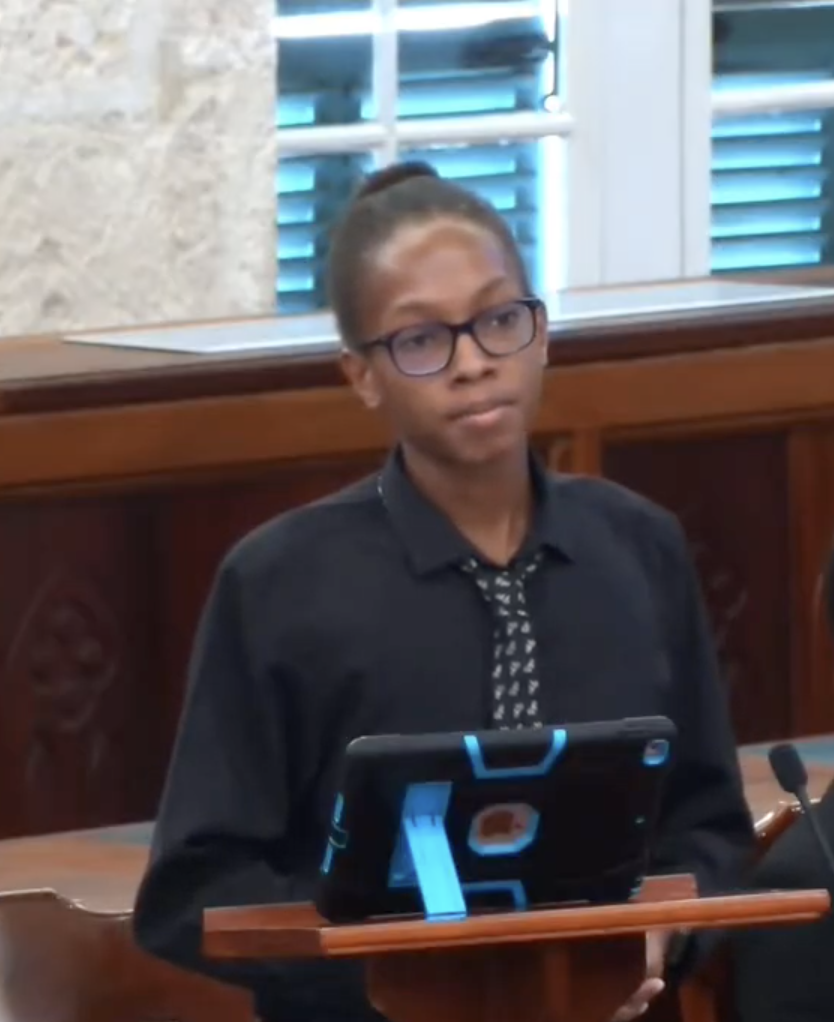Youth Parliament: Digital push must not leave elderly, disabled behind