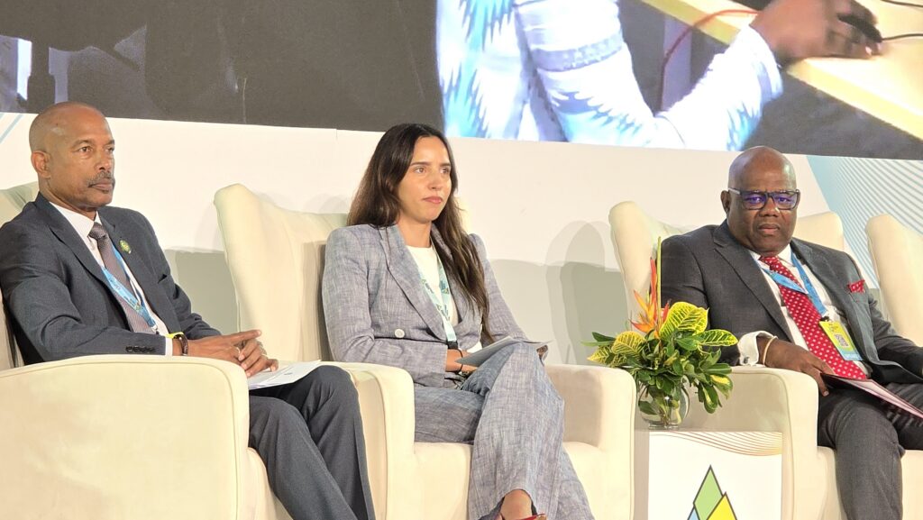 New regional sustainability bond targets US$250m