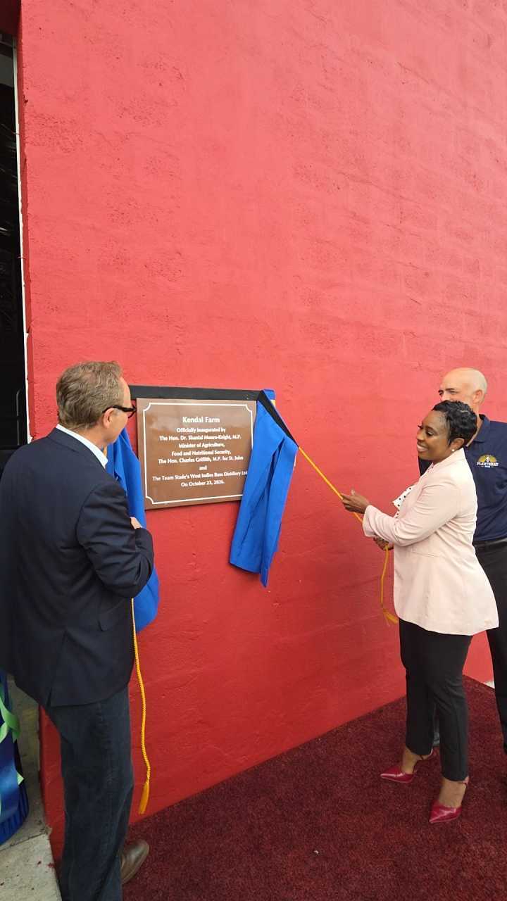 Barbados ‘to open export packhouse’ as distillery inaugurates Kendal Farm